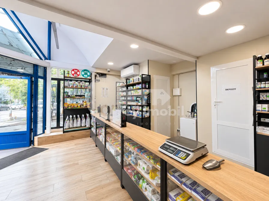 Spațiu comercial, Centru, ARMENEASCĂ