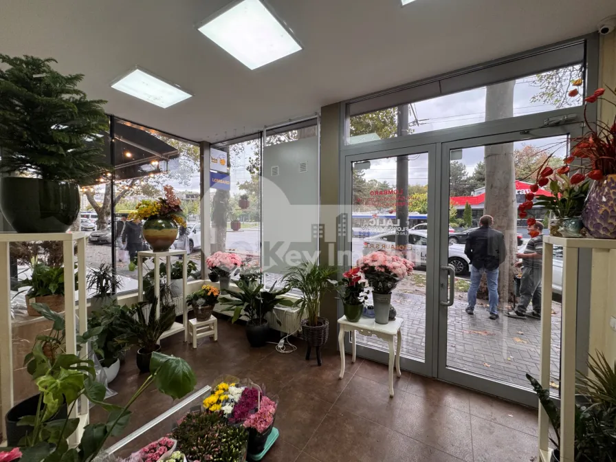 Spațiu comercial, Botanica, DECEBAL