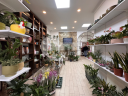 Spațiu comercial, Botanica, DECEBAL