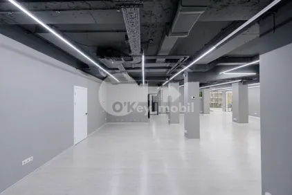 Oficiu, Centru, ALEXANDR PUȘKIN