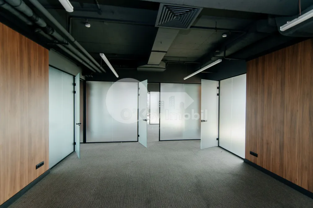 Офис, Центр, ШТЕФАН ЧЕЛ МАРЕ