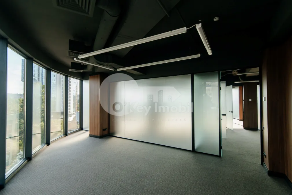 Офис, Центр, ШТЕФАН ЧЕЛ МАРЕ