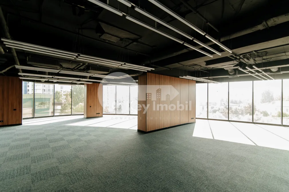 Офис, Центр, ШТЕФАН ЧЕЛ МАРЕ