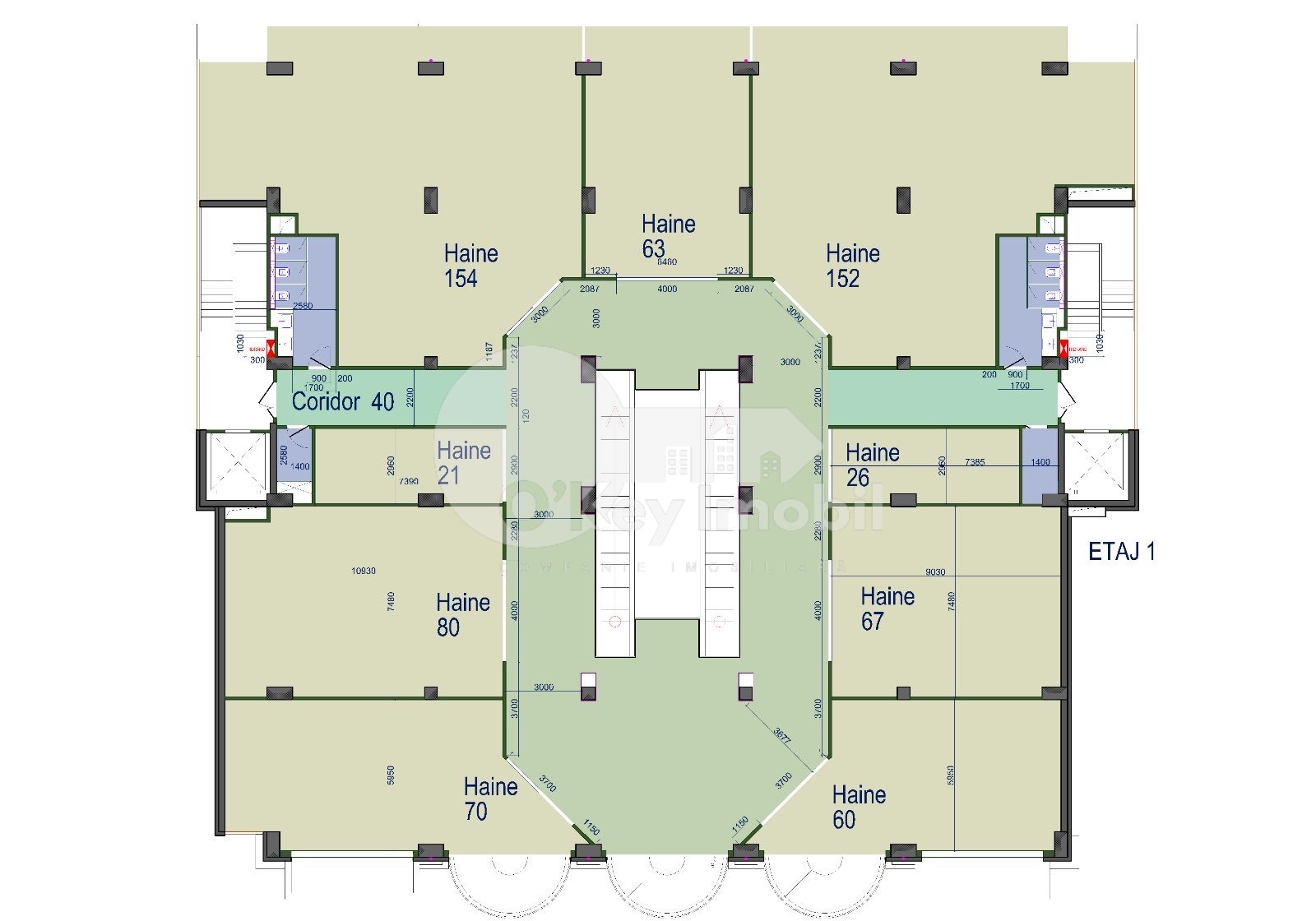 Spațiu comercial, Râșcani, GRIGORE VIERU