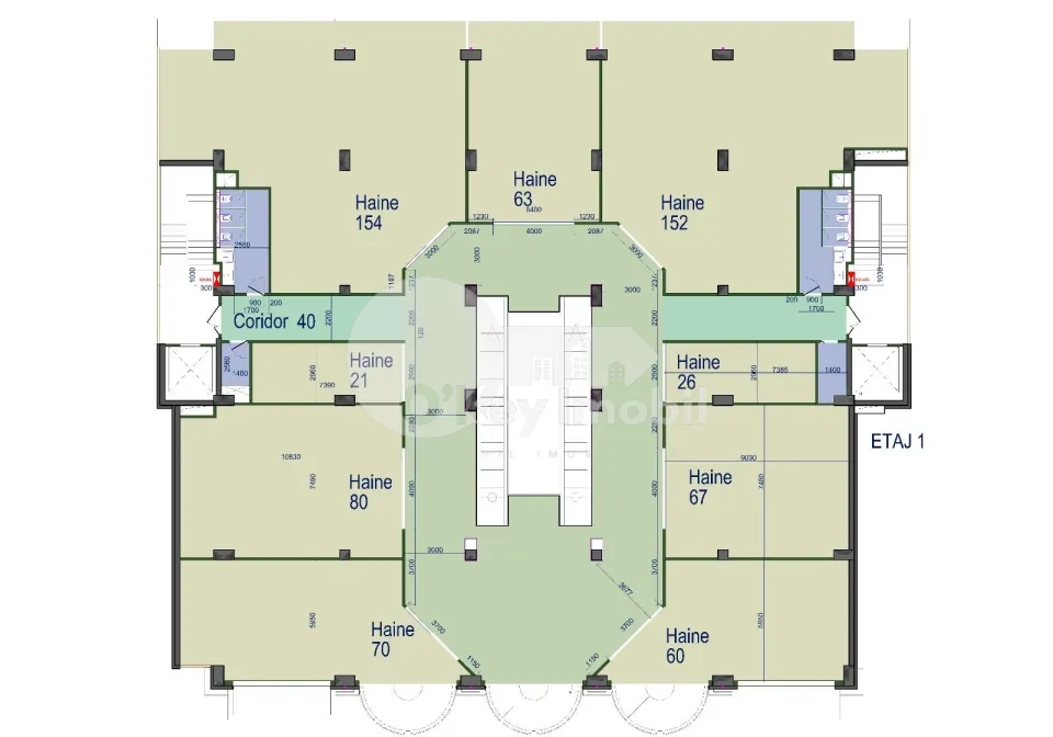 Комм. помещение, Рышкановка, ГРИГОРЕ ВИЕРУ