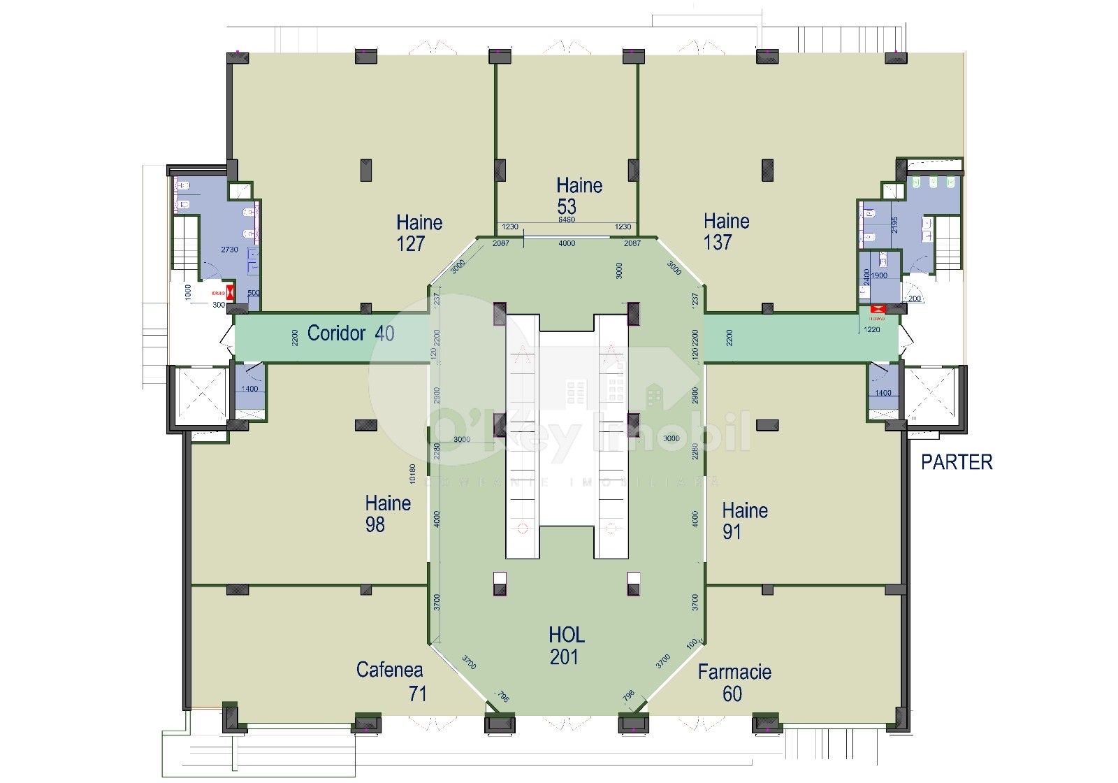 Spațiu comercial, Râșcani, GRIGORE VIERU