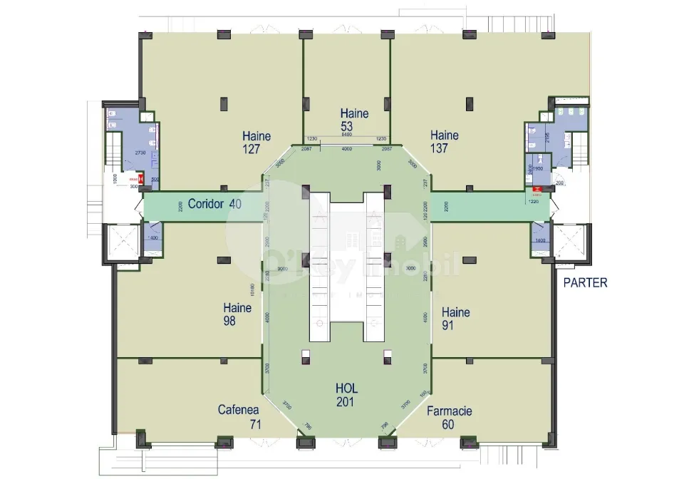 Комм. помещение, Рышкановка, ГРИГОРЕ ВИЕРУ