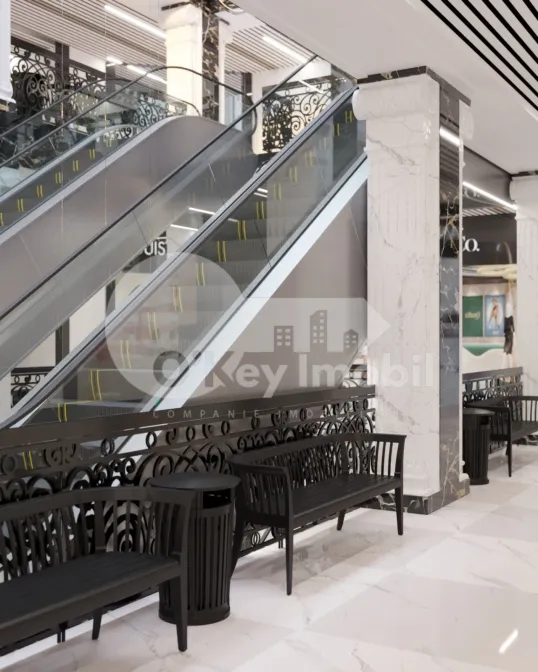 Комм. помещение, Рышкановка, ГРИГОРЕ ВИЕРУ