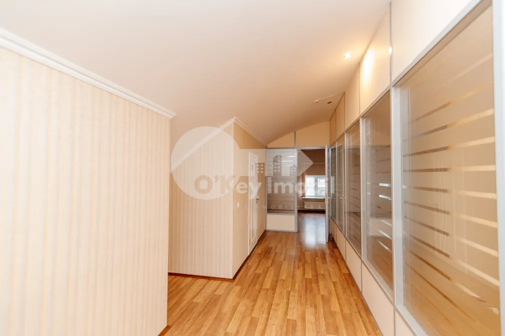 Oficiu, Centru, ALEXEI MATEEVICI