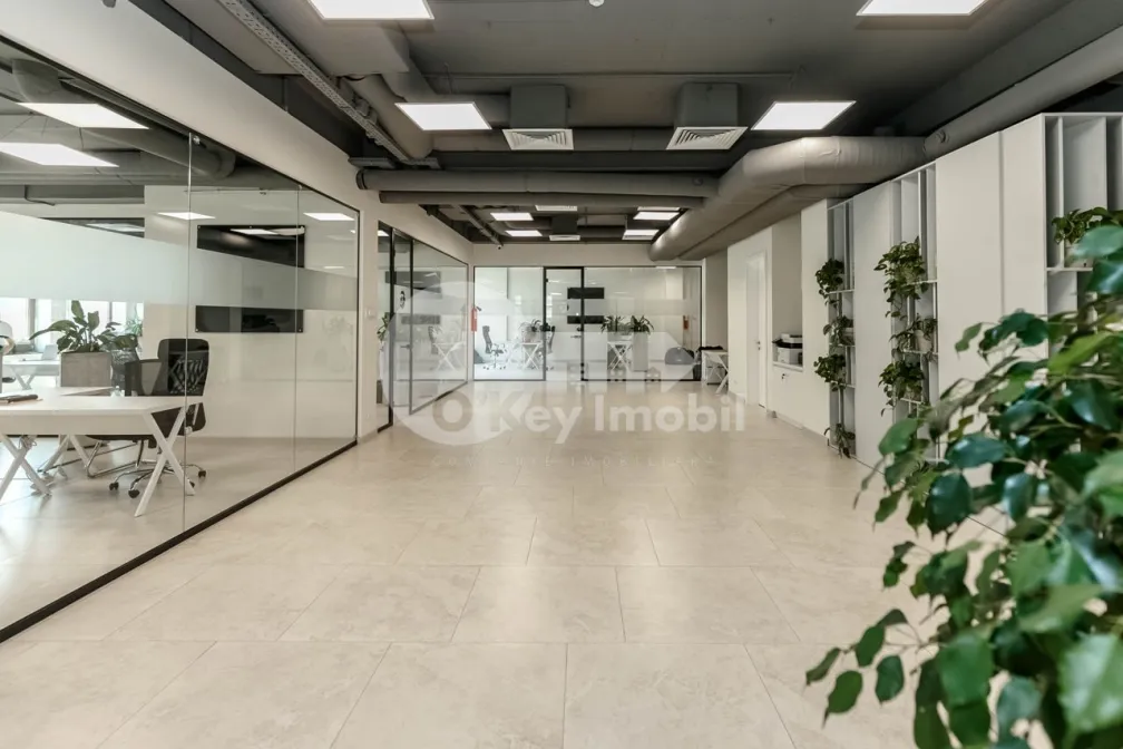 Oficiu, Centru, PETRU MOVILĂ