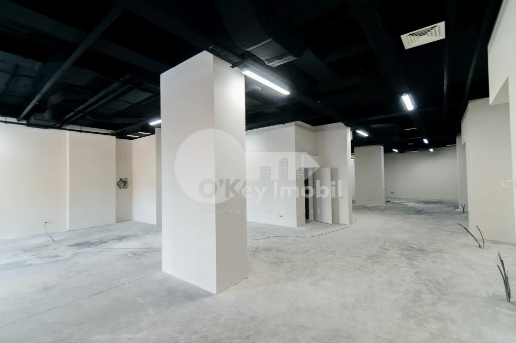 Комм. помещение, Центр, МИХАЙ ВИТЯЗУЛ