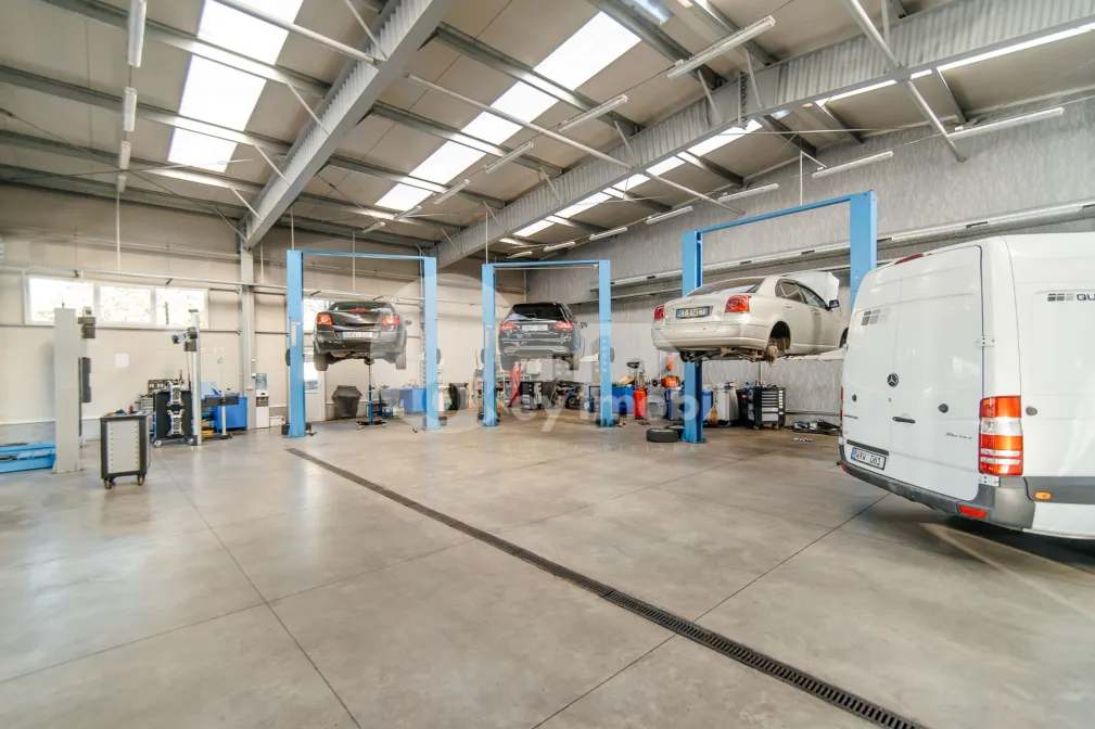 Afacere activă, BOTANICA