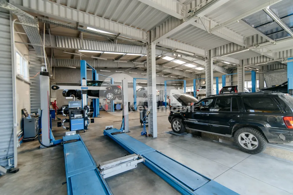 Afacere activă, BOTANICA