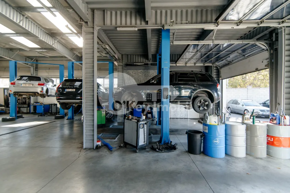 Активный бизнес, БОТАНИКА