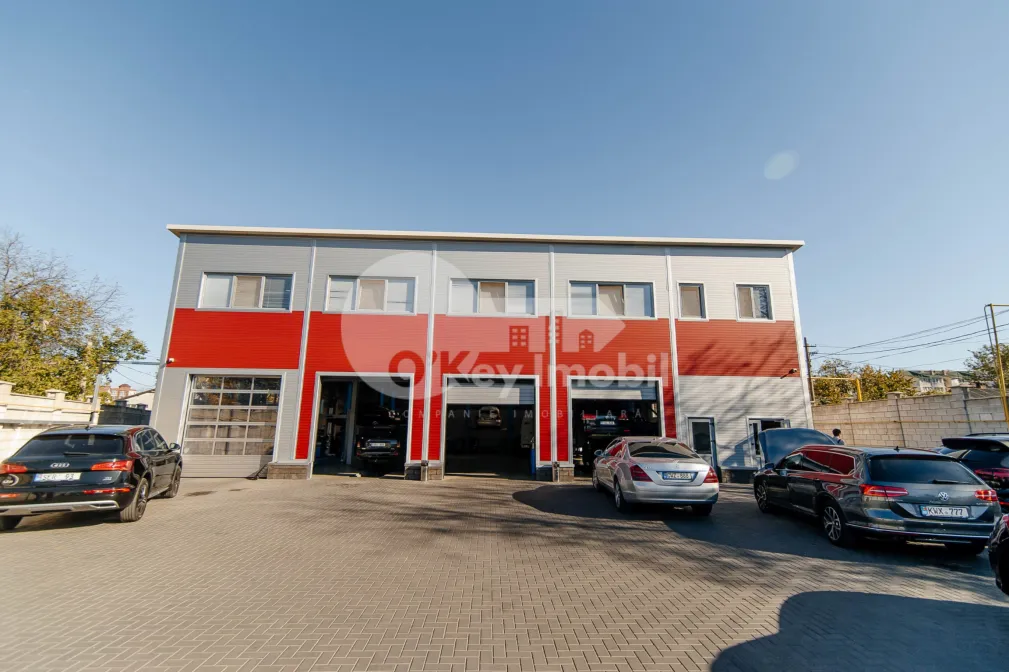 Afacere activă, BOTANICA