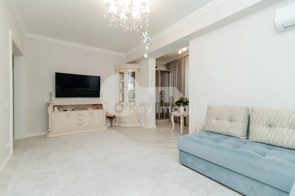 Квартира, Ботаника, ТУДОР СТРИШКЭ