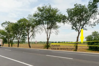 Teren, SÎNGERA